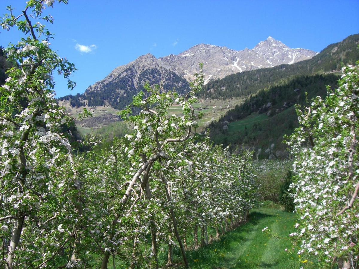 Mareinhof - Urlaub Auf Dem Apfelbauernhof Appartamento *