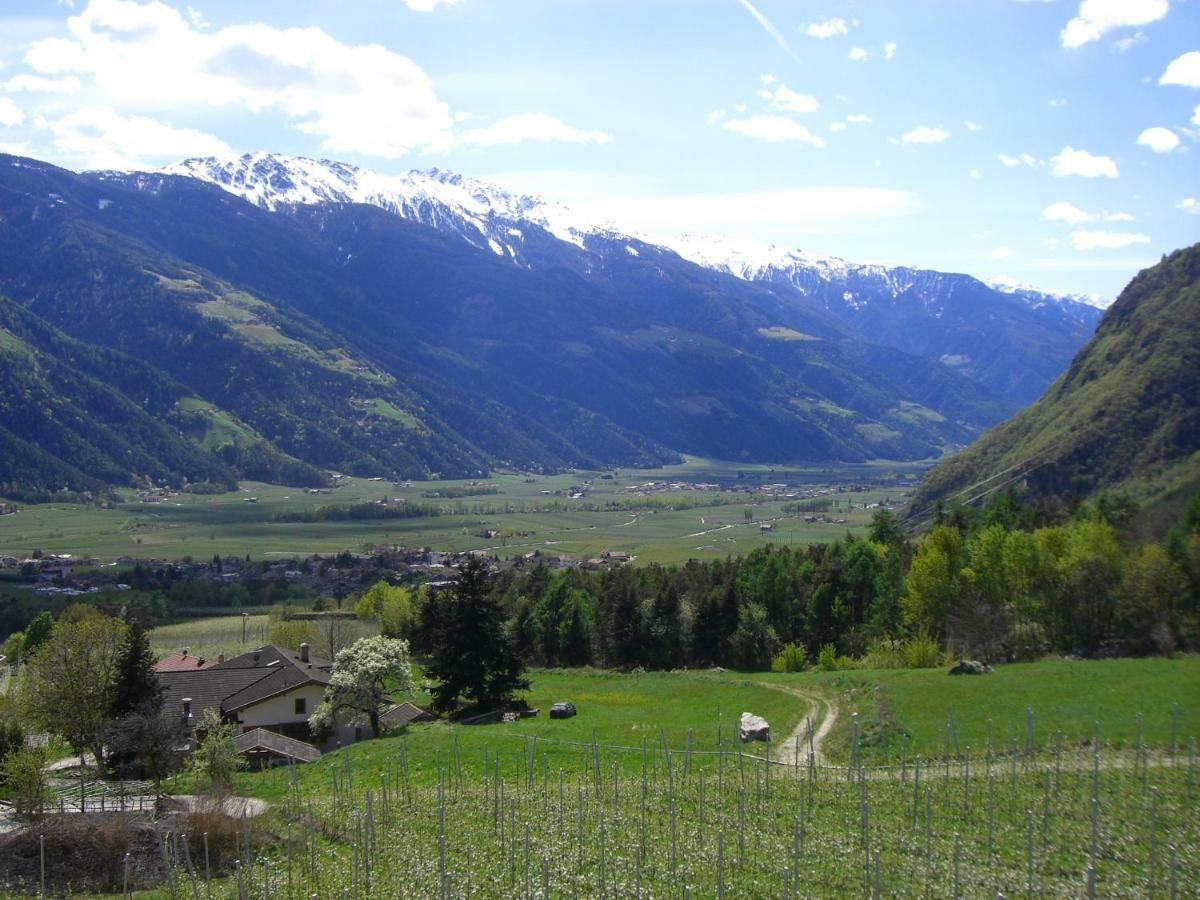 Mareinhof - Urlaub Auf Dem Apfelbauernhof Appartamento Parcines