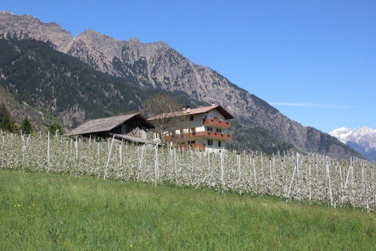 Mareinhof - Urlaub Auf Dem Apfelbauernhof *